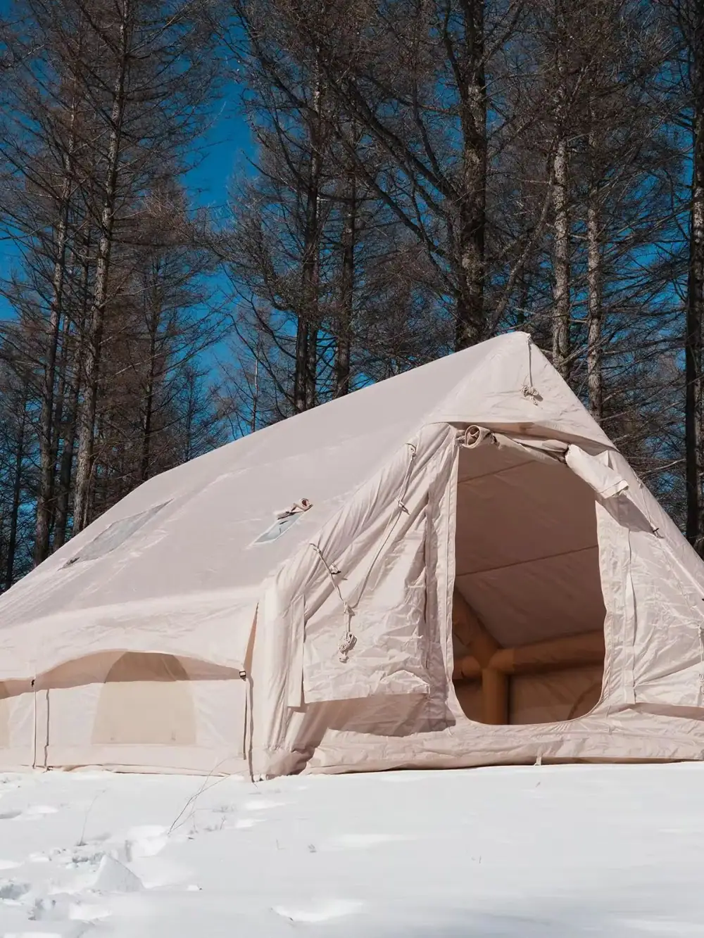 PAKICETUS Inflatable Air Tent 4-6 Person Family Tunnel Cabin Pop Up Tent UPF50+ Mesh Windows Ventilated Quick Setup All Season Luxury Camping Tent With Electric Pump For Hiking Outdoor Festival